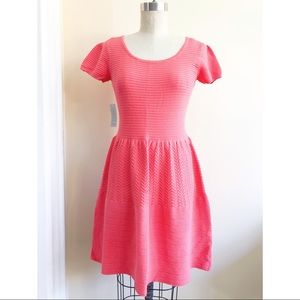 Eliza J Ribbed Knit Dress